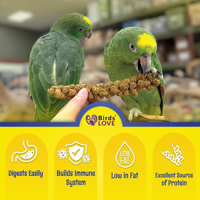 Birds LOVE Economy Special Spray Millet | GMO-Free - Image 3