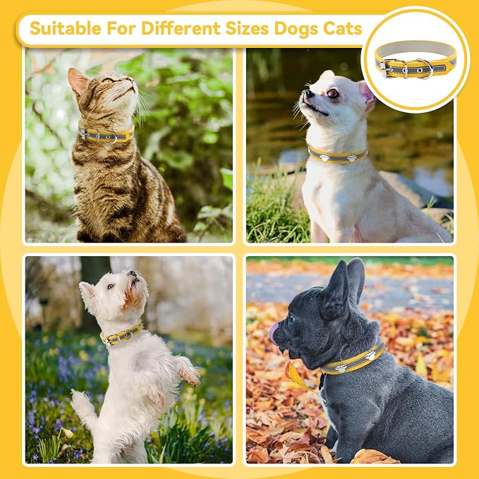 PETCARE Reflective Dog Collar - Image 3