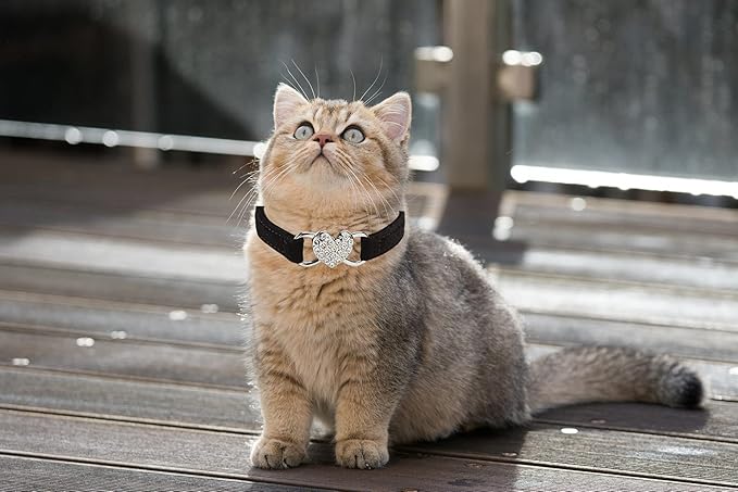 Heart Bling Cat Collar with Safety Belt and Bell Adjustable 8-10 inches - Image 5