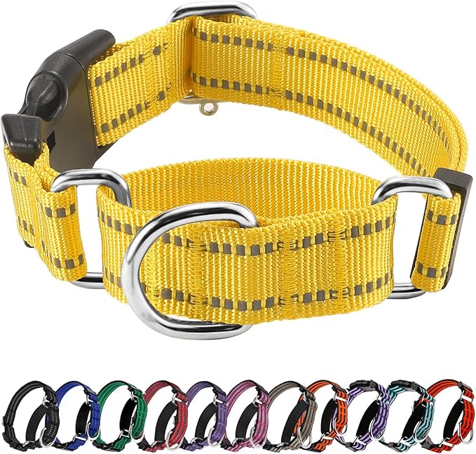 Hikiko Martingale Dog Collars Reflective Nylon Dog Collar by Hikiko