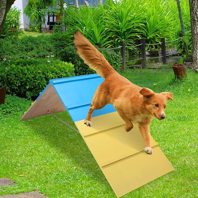 Spiareal Dog Agility Equipment 83.5 x 23.6 Inch Agility A-Frame Agility - Image 4