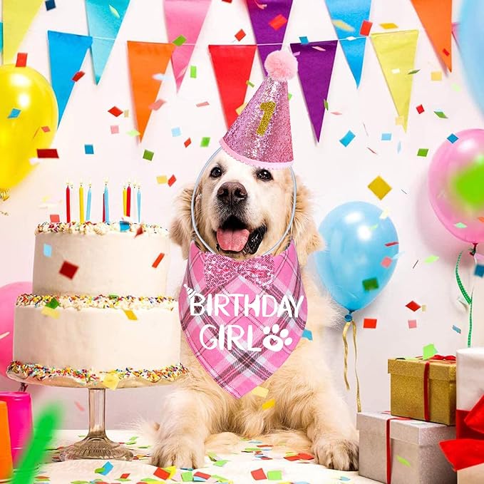 STMK Dog Birthday Outfits - Image 2