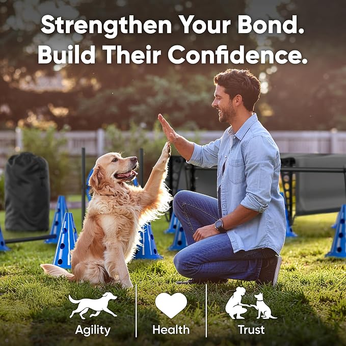 Dog Agility Course Backyard Set Complete Dog Agility Equipment - Image 5