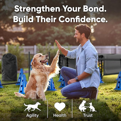 Dog Agility Course Backyard Set Complete Dog Agility Equipment - Image 5