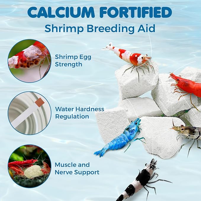 SunGrow Shrimp Rocks for Aquarium, 4-oz. Calcium Stones for Freshwater Aquarium - Image 3