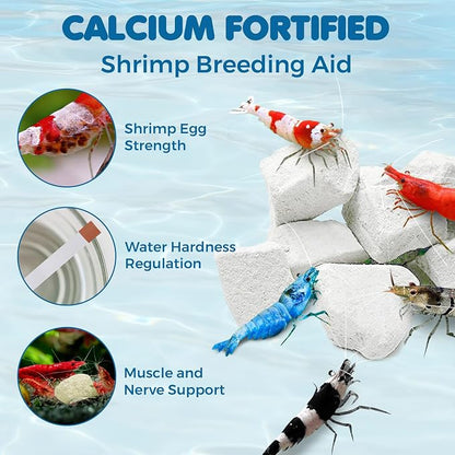 SunGrow Shrimp Rocks for Aquarium, 4-oz. Calcium Stones for Freshwater Aquarium - Image 3