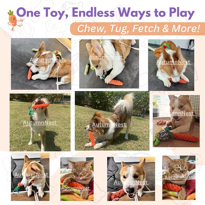 3PCS Orange Woven Pet Chew Set, Puppy Teething Chews, Dog Chew Treats, Cat - Image 7