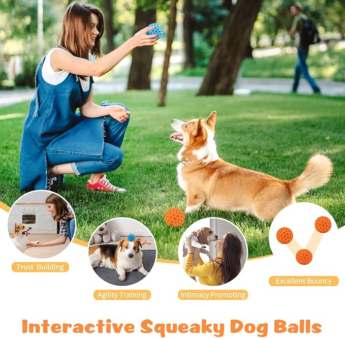 HIPPIH Indestructible Squeaky Dog Toys, Interactive Dog Balls 2 Pack, Chew Toys - Image 6