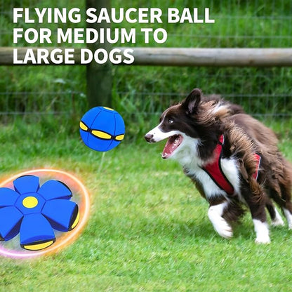 2PCS Dog Flying Disc Toy, Pet Toy Flying Saucer Ball - Image 3