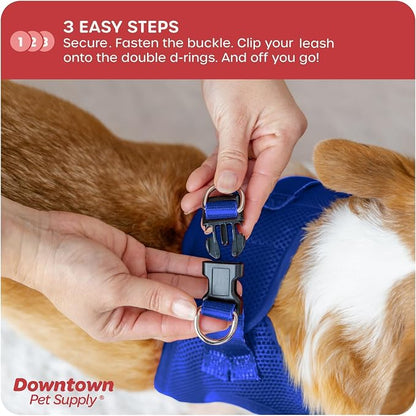 Downtown Pet Supply Step in Dog Harness - Image 5