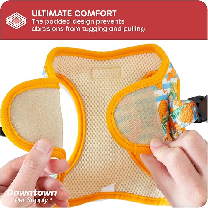 Downtown Pet Supply Step-in Dog Harness – No Pull, Adjustable Padded Mesh - Image 6