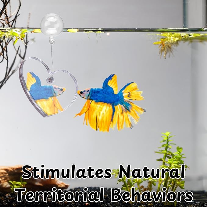 Betta Ring and Mirror Toy for Aquarium, Floating Exercise Mirrors for Fish Tank - Image 6