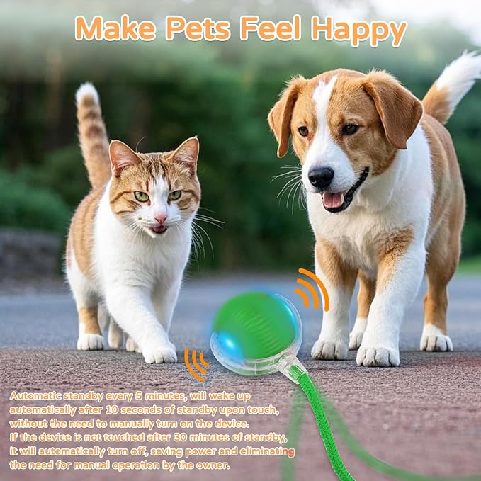2025 New 1Pack Cat Ball Kitten Toys - Image 6