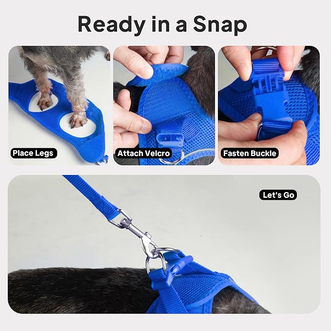 PetiFine Step in Small Dog Harness and Leash Set, Breathable All Weather Air - Image 9