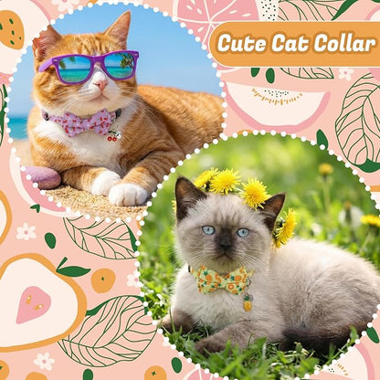 6 Pack Breakaway Cat Collars - Image 6
