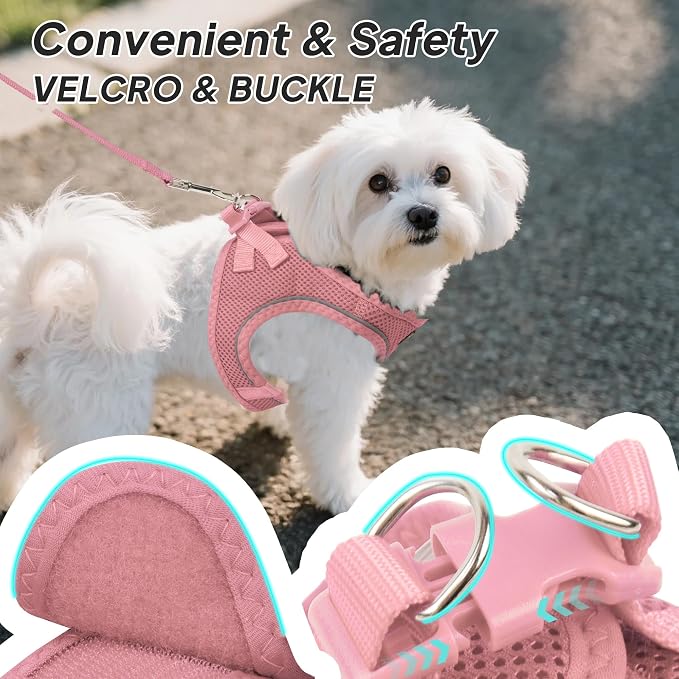 PetiFine Step in Small Dog Harness and Leash Set, Breathable All Weather Air - Image 3