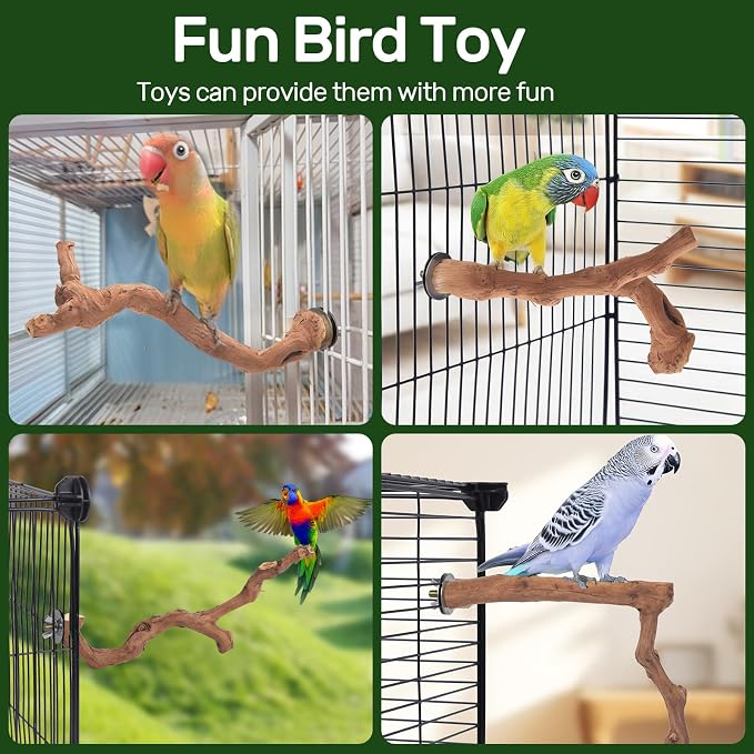 6-Piece Premium Bird Perch Stand - Image 3
