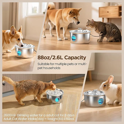Cat Water Fountain Stainless Steel: Cat Fountain - Image 5