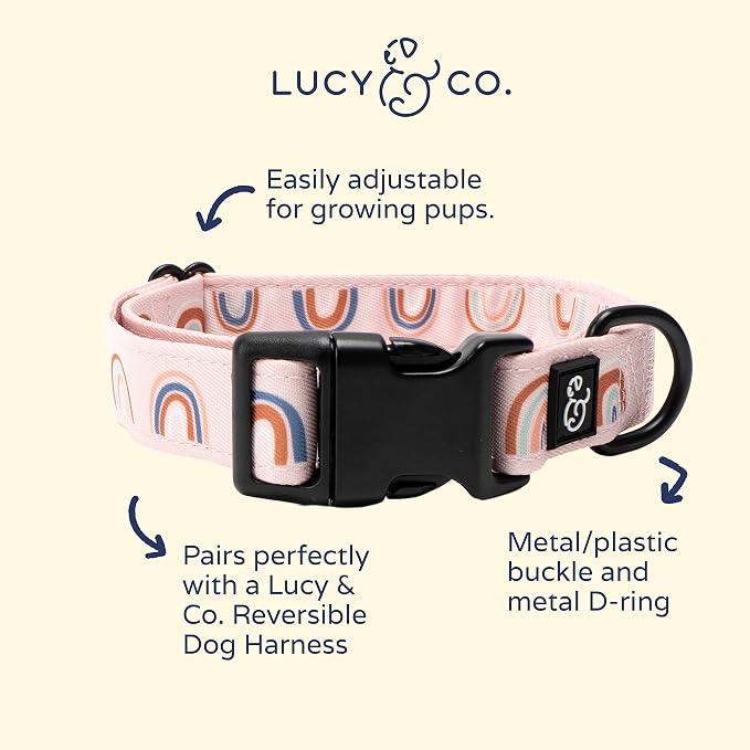 Lucy & Co. in The Clouds Adjustable Dog Collar- Cute Designer Pet Collar - Image 2