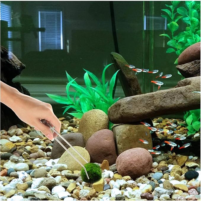 3 in 1 Aquarium Aquascape Tools Kit Long Stainless Steel Aquarium Tank Aquatic - Image 7