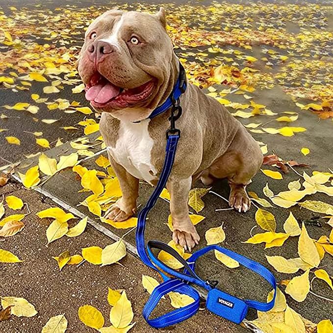 Best Pet Supplies Voyager Reflective Dog Leash or Collar - Image 4