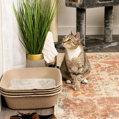 Kitty Sift Disposable Sifting Cat Litter Box Large, Durable and Portable - Image 7