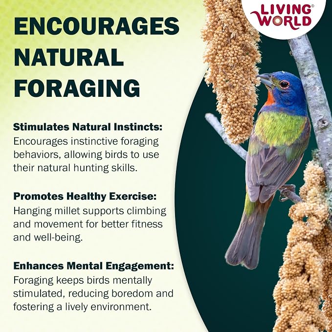 Living World – Millet Spray for Birds, 7 Oz – Premium Treat for Budgies - Image 8