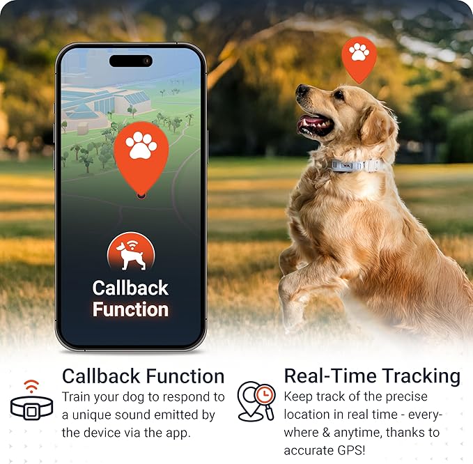 PAJ GPS Tracker for Dogs - 4G GPS Collar Tag - Waterproof & Up to 10 Days - Image 2