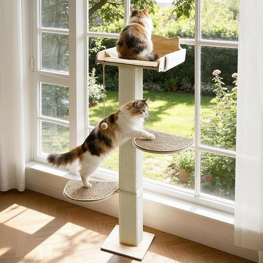 Solid Wood Cat Window Perch by GreenPetopia