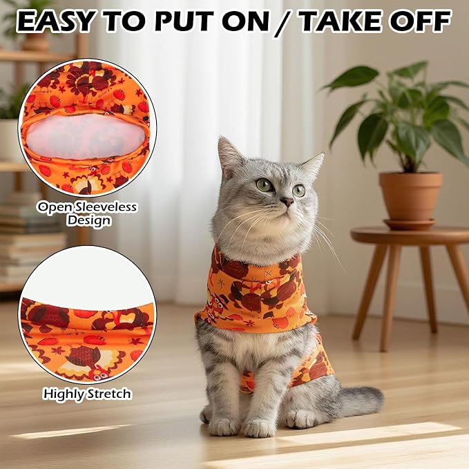 EXPAWLORER Thanksgiving Cat Sweater - Image 3