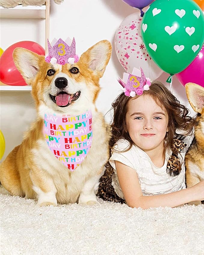PET SHOW Pink Crown Hat Dog Birthday Party Supplies - Image 7