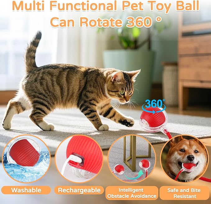 2025 New 2Pack Cat Ball Kitten Toys - Image 2