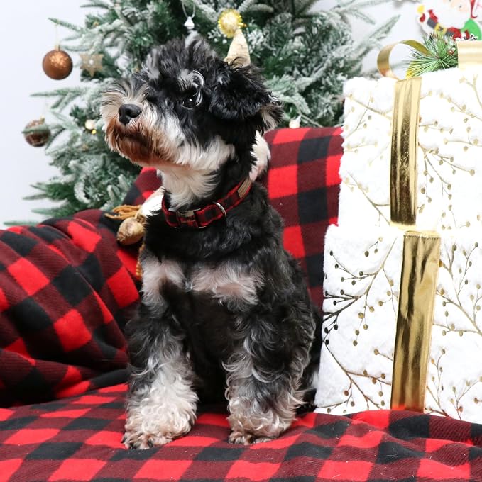Unique style paws Christmas Dog Collar Metal Buckle Red Black Plaid Puppy - Image 3