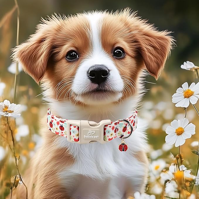 Ladybug Dog Collar for Small Dogs - Image 5