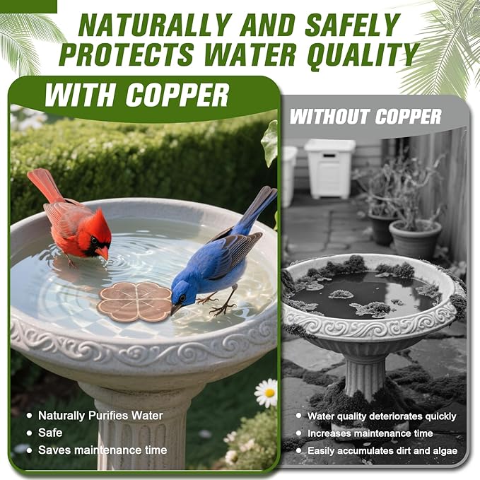 Bird Bath Copper Disk, Four-Point Support Design 99.99% Pure Copper Cleaning - Image 4
