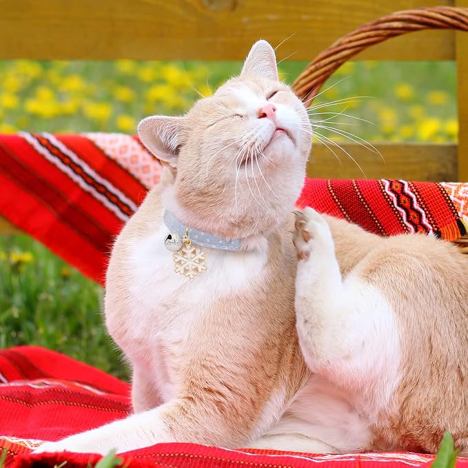 2 Pack Cotton Breakaway Cat Collar - Image 6
