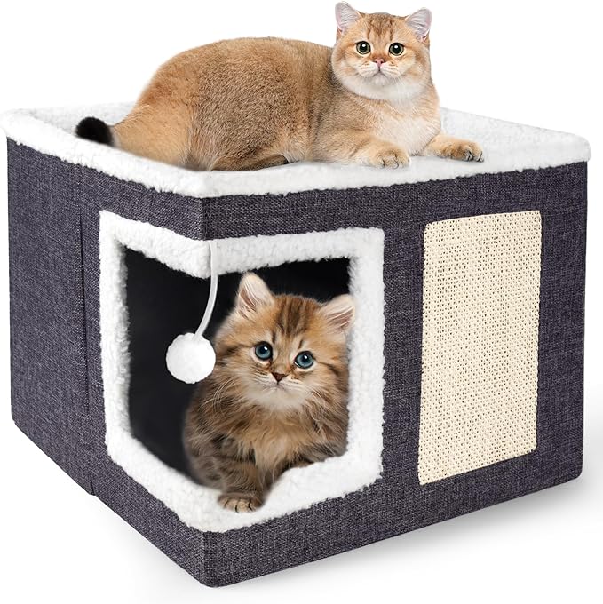 Cat Houses for Indoor Cats by Loyareal