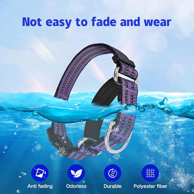 Martingale Dog Collar, Adjustable Nylon Reflective Collar - Image 6