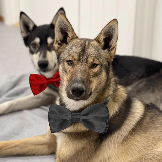 Dog Bow Ties for Large Dogs, KOOLMOX Wine Red Adjustable Dog Collar Bow Tiefor - Image 4