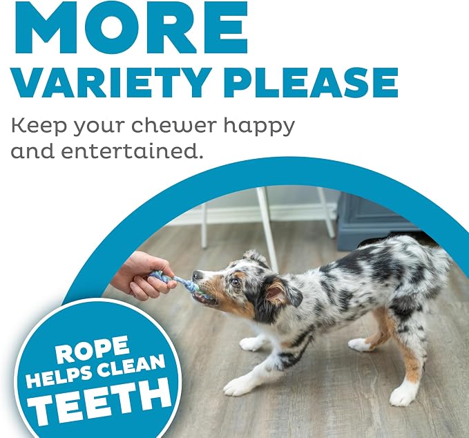 Outward Hound Pupstages Mini Dentachew Pack Dental Chew Toy, Fetch & Tug Rope - Image 5