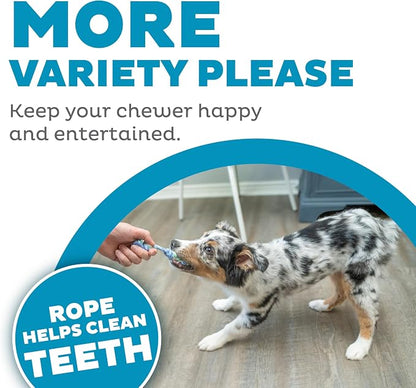 Outward Hound Pupstages Mini Dentachew Pack Dental Chew Toy, Fetch & Tug Rope - Image 5