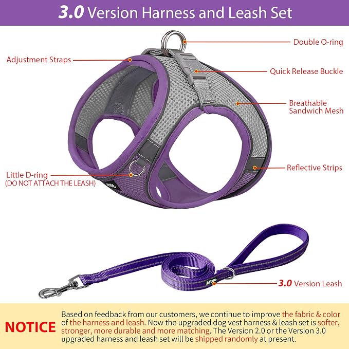 AIITLE Small Harness for Puppy - Image 4
