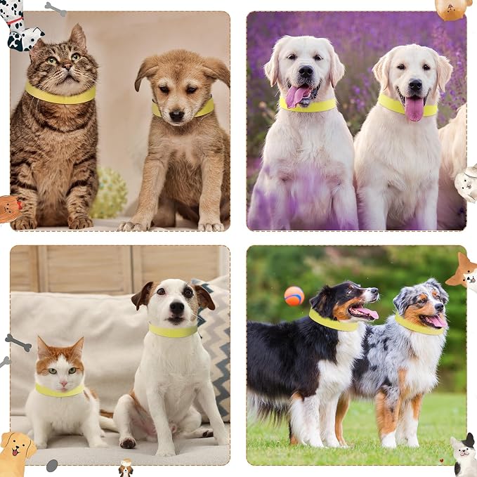 500 Count 20inch Adjustable Paper Dog Collars - Image 6