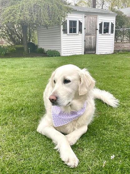 Lionet Paws Spring Daisy Dog Bandana Washable Cotton Handkerchief Scarf - Image 4