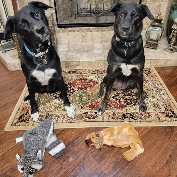 Best Pet Supplies Squeaky Dog Toys - Image 6