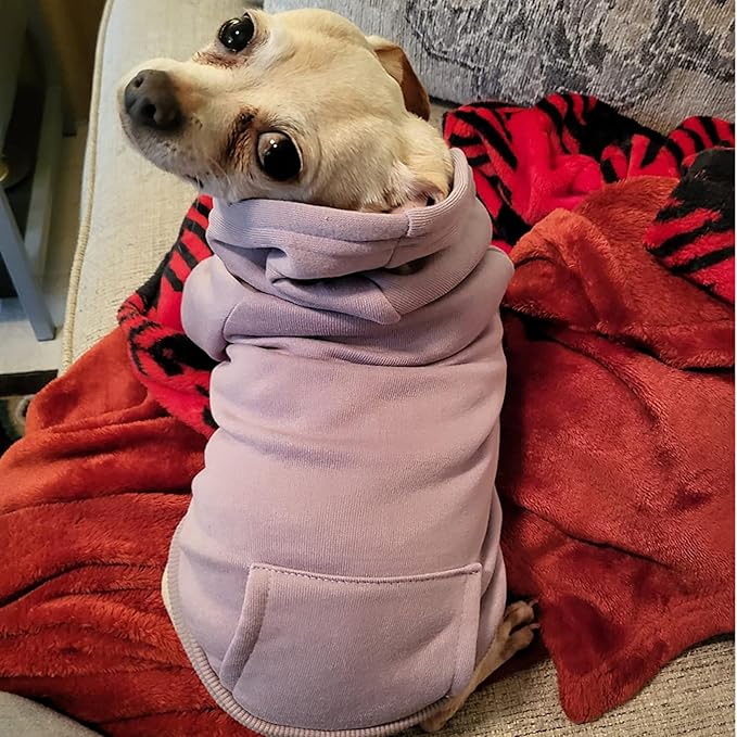 Jecikelon Winter Dog Hoodie Sweatshirts - Image 5