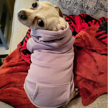 Jecikelon Winter Dog Hoodie Sweatshirts - Image 5