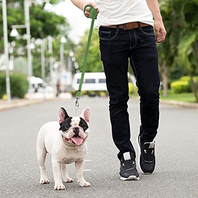 Downtown Pet Supply - Image 5