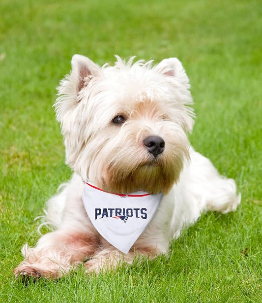 Pets First NFL Pets Collar Bandana - Image 2