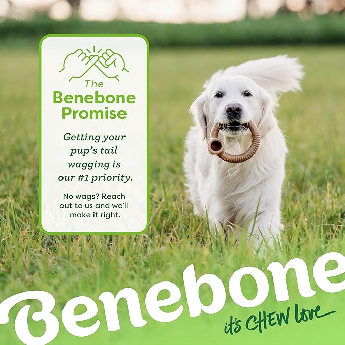 Benebone Ring Durable Dog Chew Toy - Image 6